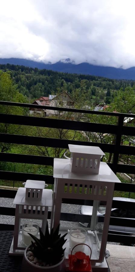 Villa Maya Borşa Esterno foto