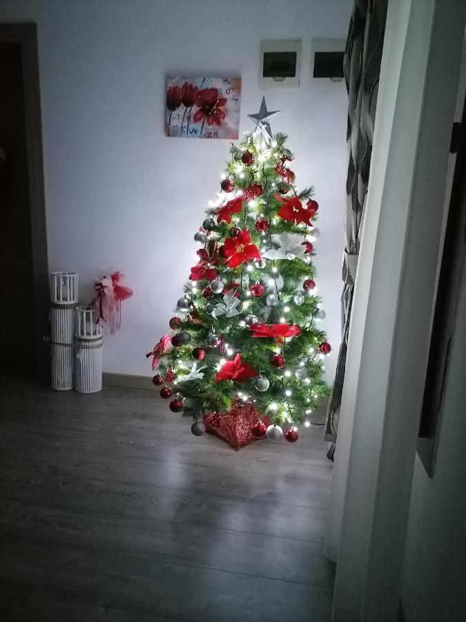Villa Maya Borşa Esterno foto